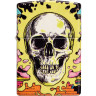 Зажигалка Zippo Skull Design 48640